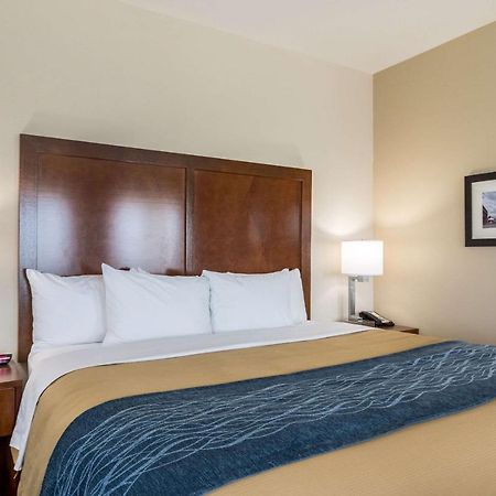Comfort Inn Edwardsville - St Louis Exterior foto