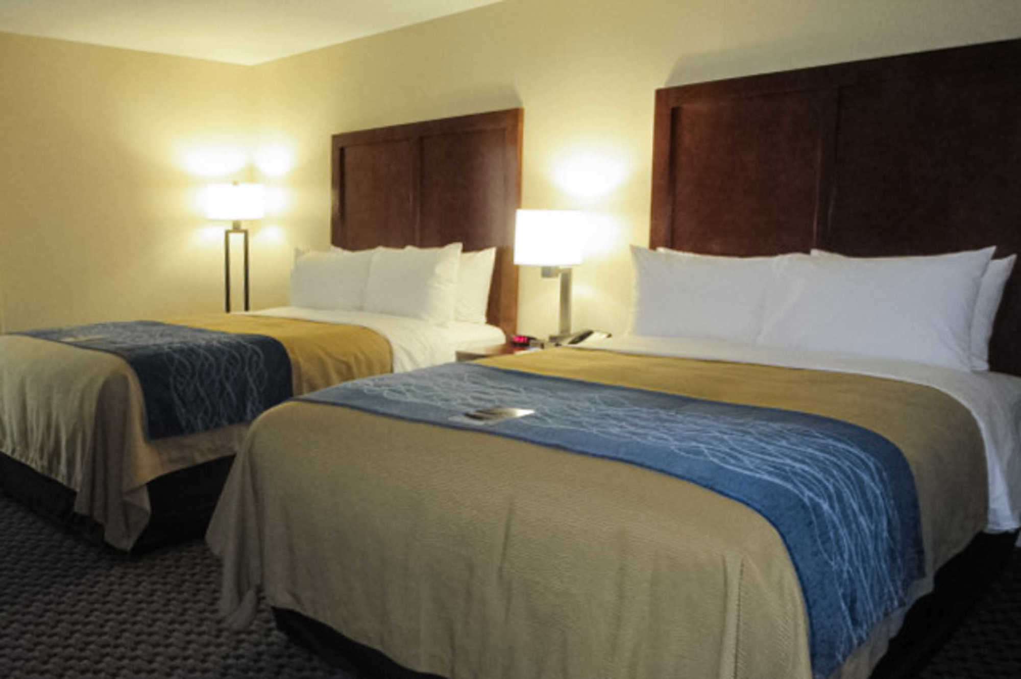 Comfort Inn Edwardsville - St Louis Zimmer foto